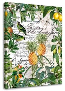 Gario Vászonkép Trópusi gyümölcsök és kalligráfia - Andrea Haase Méret: 40 x 60 cm