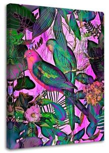 Gario Vászonkép Trópusi színes madarak - Andrea Haase Méret: 40 x 60 cm