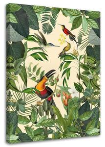 Gario Vászonkép Trópusi tukán - Andrea Haase Méret: 40 x 60 cm