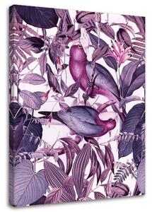 Gario Vászonkép Trópusi madarak 4 - Andrea Haase Méret: 40 x 60 cm