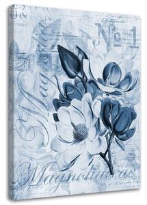Gario Vászonkép Magnóliák kék pergamenre - Andrea Haase Méret: 40 x 60 cm
