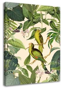 Gario Vászonkép Trópusi madarak a dzsungelben - Andrea Haase Méret: 40 x 60 cm