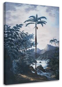 Gario Vászonkép Pálmafa a dzsungelben - Andrea Haase Méret: 40 x 60 cm
