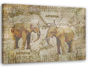Gario Vászonkép Két felnott elefánt - Andrea Haase Méret: 60 x 40 cm
