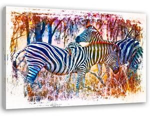 Gario Vászonkép Két színes zebra - Andrea Haase Méret: 60 x 40 cm