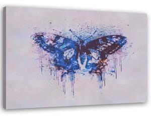 Gario Vászonkép Absztrakt pillangó - Andrea Haase Méret: 60 x 40 cm
