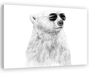 Gario Vászonkép Fekete-fehér medve szemüveggel - Rykker Méret: 60 x 40 cm