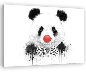 Gario Vászonkép Panda bohóc orral - Rykker Méret: 60 x 40 cm