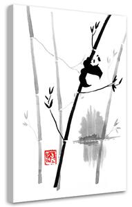 Gario Vászonkép Panda a bambuszon - Péchane Méret: 40 x 60 cm