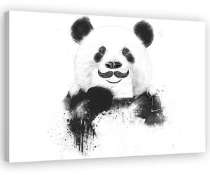 Gario Vászonkép Fekete-fehér panda - Rykker Méret: 60 x 40 cm