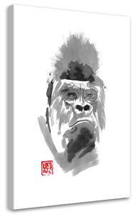 Gario Vászonkép Gorilla - Péchane Méret: 40 x 60 cm