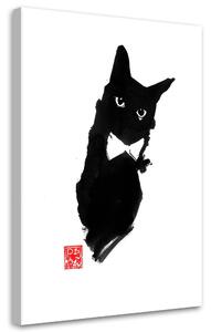 Gario Vászonkép Elegáns macska - Péchane Méret: 40 x 60 cm