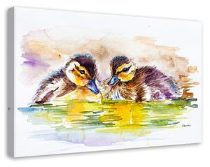 Gario Vászonkép Két kis kacsa - Dorota Martynska Méret: 60 x 40 cm