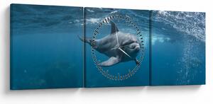 Kép - Delfin a felszín alatt (órával) (90x30 cm)