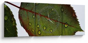 Kép - Rózsalevél (órával) (90x30 cm)