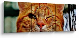 Egy pislogó macska képe (órával) (90x30 cm)