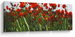 A pipacsok képe a szélben (órával) (90x30 cm)