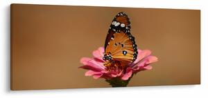 Pillangó képe a virágon (120x50 cm)