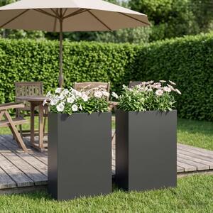 Kerti cserép 2 db Fekete 50 x 20 x 75 cm Hidegen hengerelt acél