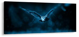 Egy repülő bagoly képe (120x50 cm)