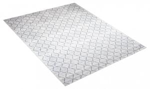 Világosszürke modern szőnyeg egyszerű mintával Szélesség: 80 cm | Hossz: 150 cm