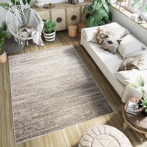 PETRA Modern dizájnos barna szőnyeg vékony csíkokkal Szélesség: 120 cm | Hossz: 170 cm