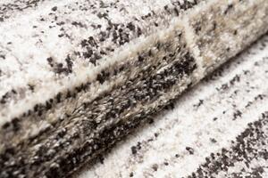 PETRA Modern dizájnos barna szőnyeg Szélesség: 200 cm | Hossz: 300 cm