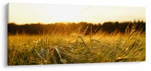 Harmatos fű képe (120x50 cm)
