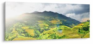 Ültetvények képe (120x50 cm)
