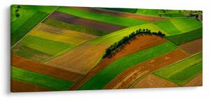 Kép - Mezők, rétek (120x50 cm)