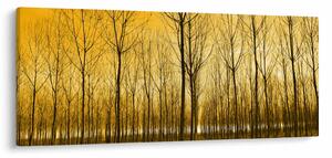 Kép - Faültetvény (120x50 cm)