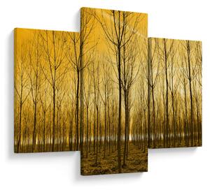 Kép - Faültetvény (90x60 cm)