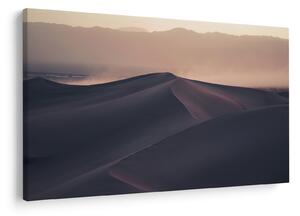 Kép - Homokdűnék (90x60 cm)