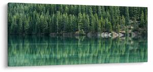 Kép - Tűlevelű a tónál (120x50 cm)