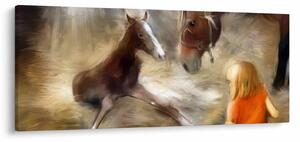 Kép - Üdvözöljük a világban, csikó (120x50 cm)
