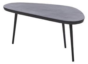 Fekete fém dohányzóasztal 42x87 cm Puno – Light & Living