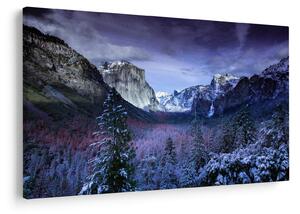 Kép - Yosemite, USA (90x60 cm)