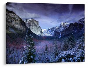 Kép - Yosemite, USA (70x50 cm)