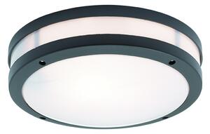 VIOKEF Outdoor Ceiling Lamp Dark Gray Chios - VIO-4081701