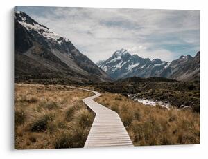 Kép - Sétány a hegységben Mt. Cook (70x50 cm)