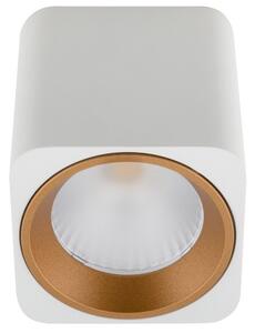 Maxlight TUB fehér beltéri mennyezeti lámpa (MAX-C0156)