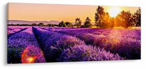 A levendula mező képe, Provence (120x50 cm)