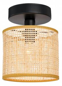 VIOKEF Ceiling Lamp Erica - VIO-4274900
