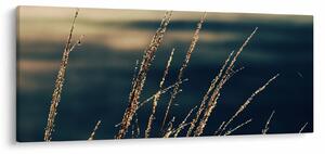 A füvek képe (120x50 cm)