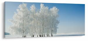 Egy havas táj képe (120x50 cm)