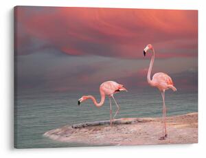 Flamingók képe (70x50 cm)