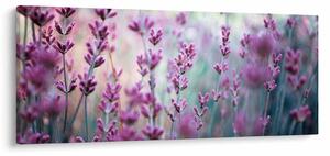 Kép - Levendula (120x50 cm)
