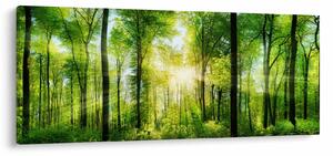Kép - Hajnal az erdőben (120x50 cm)