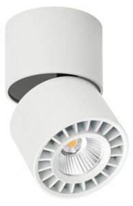 Italux Herios fehér beltéri mennyezeti lámpa (IT-CLN-97018-12W-L-3K)