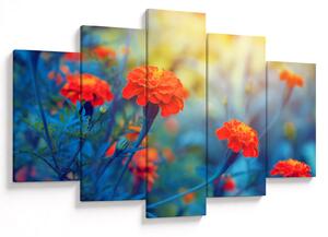 Kép - Narancssárga virágok (150x105 cm)